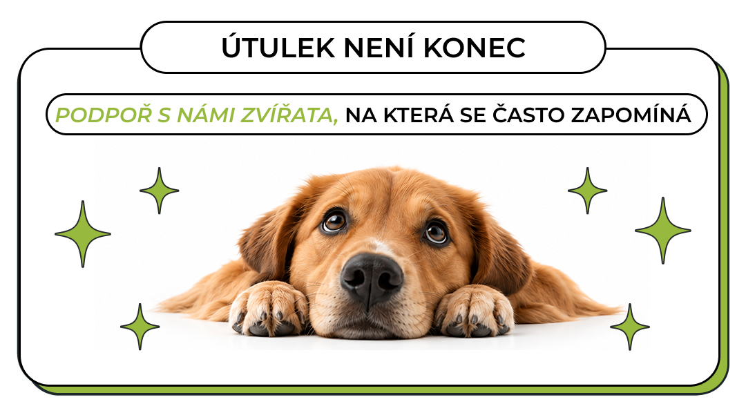 Útulek není konec: Podpoř s námi zvířata, na která se často zapomíná