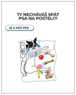 Spí váš pejsek s vámi v posteli, nebo má svůj pelíšek? Napište nám do komentářů, bez čeho se váš chlupáč před spaním...