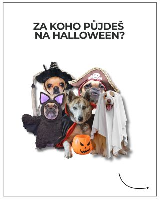 Bububu, Halloween je tady! 🎃 Jak ho oslavíš a za koho bys šel/šla, kdyby sis měl/a vybrat? 👻 Napiš nám do komentářů! 👇🏻...