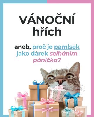 Dárky jsou fajn. Ale ty, které dávají smysl i po svátcích, jsou ještě lepší. Míň chaosu, míň „něco rychle koupím“ a víc...