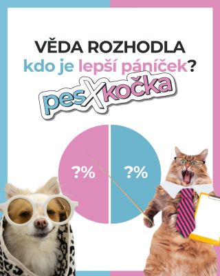 🐶🐱 Pes nebo kočka – kdo je lepší páníček? Věda říká, že oba. My říkáme, že… oba, ale každý úplně jinak 😄 Psí rodiče...
