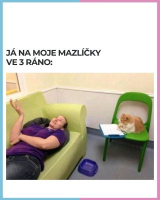 Že tohle neděláš? Hah. Kecáááš. A když už svému terapeutovi v kožichu věnuješ tolik pozornosti, dej mu letos pod stromek...