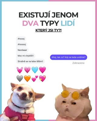 Každej má kámoše, co je jako pes… a kámoše, co je jako kočka. Označ toho, kdo by ti dal jen „Zobrazeno“ 😼👇🏼