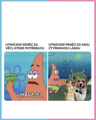 Přiznejme si to… největší investice roku? Naši chlupáči. 🐾💸 Chceš utrácet chytře? Mrkni na www.shroombuddy.cz a vyber...
