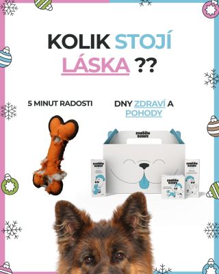 Ať je ten stromeček jakkoli plný, jen málo dárků udělá radost i dlouho po svátcích. Když zvolíš péči, vrací se ti v podobě...