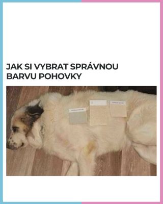 Vánoce se blíží a my jsme tu s dalšími „zásadními“ tipy, jak vybírat dárky bez stresu. 🎄Protože některé věci je lepší...